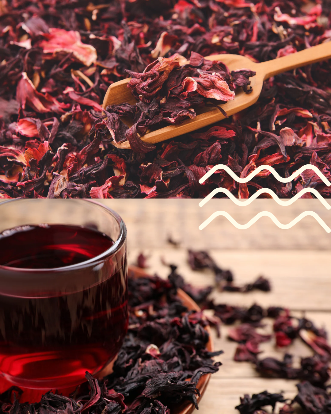 Infusiones