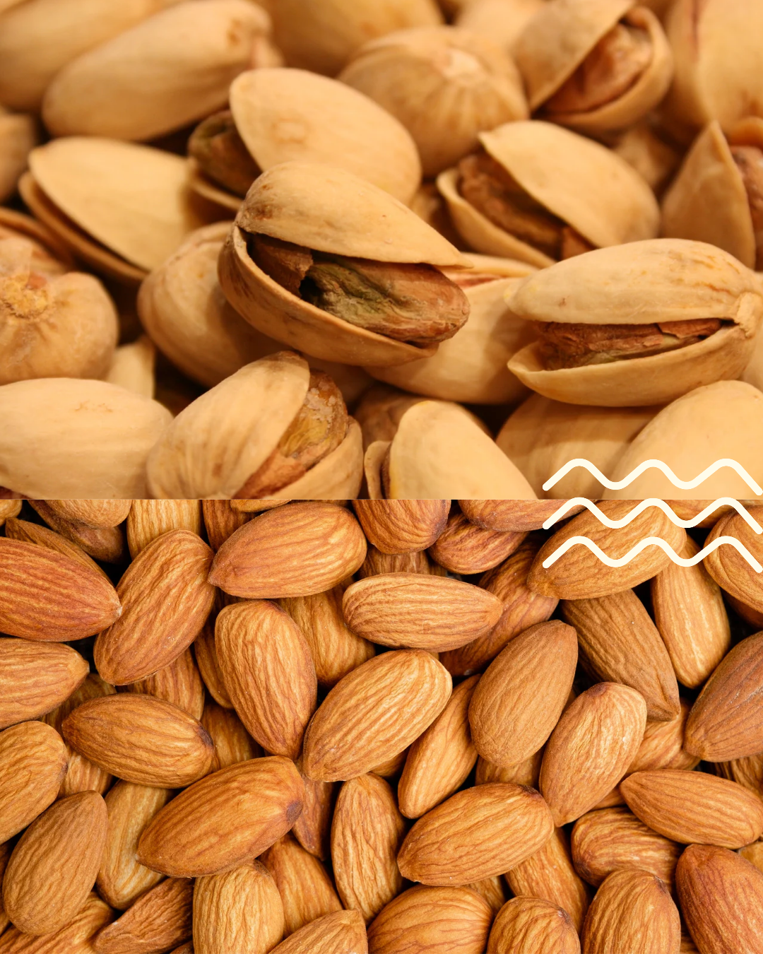 Frutos secos